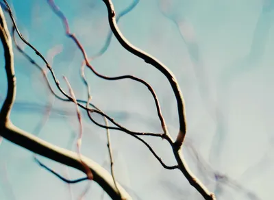 Maximize Your Impact with One Simple Wish Charity Navigator Login