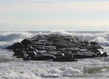 🌟 Grant A Child's Dream: Make One Simple Wish Come True in Trenton, NJ 🌟