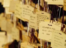 Boost Your Donations to Make-A-Wish Foundation with Charity Navigator