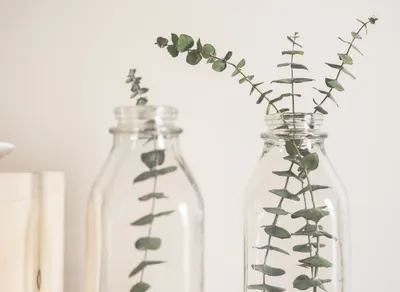 Boost Your Knowledge on One Simple Wish Charity Ratings - Unveiling the Truth and Facts