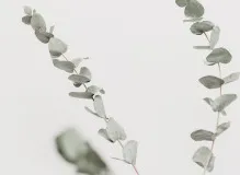 Unveiling the Address for One Simple Wish - Get the Scoop Now 2