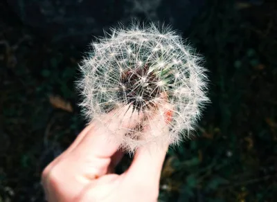 Support Children's Dreams with One Simple Wish Organization