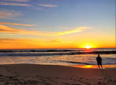 🌟Grant One Simple Wish and Change a Child's Life in San Diego Today🌟