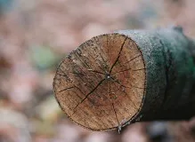 🌟 Make Your One Simple Wish Come True – Log in Now and Discover How! 🌟