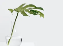 🌟 Grant a One Simple Wish Today and Make a Difference for Charity 🌟 62