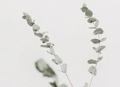 Unveiling the Address for One Simple Wish - Get the Scoop Now