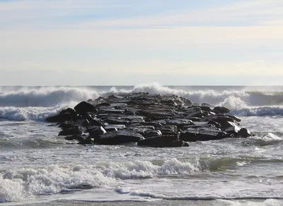 🌟 Grant A Child's Dream: Make One Simple Wish Come True in Trenton, NJ 🌟