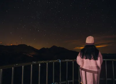 Grant Your Dreams with One Simple Wish's Website ✨🌟 Explore Now!