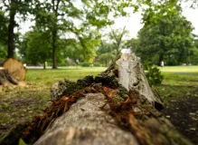 🌟 Grant Your One Simple Wish in Ewing, NJ: Make Your Dreams Come True Today! 🌟