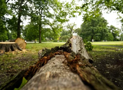 🌟 Grant Your One Simple Wish in Ewing, NJ: Make Your Dreams Come True Today! 🌟