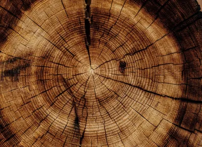 🌟 Grant Your One Simple Wish Today - Log In and See How 🌟