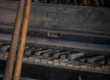 Grant Your Wish with One Simple Wish NJ! Explore Our Services Today. 4