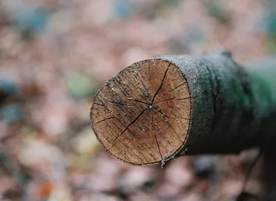 🌟 Make Your One Simple Wish Come True – Log in Now and Discover How! 🌟