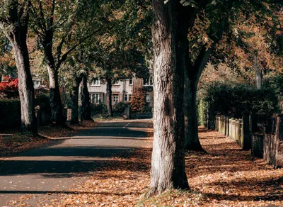 Make Your Wishes Come True with One Simple Wish UK