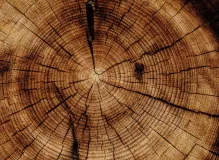 🌟 Grant Your One Simple Wish Today - Log In and See How 🌟 58