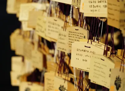 Boost Your Donations to Make-A-Wish Foundation with Charity Navigator