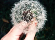 Support Children's Dreams with One Simple Wish Organization