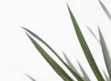 🎁 Easy Ways to Give: Grab These Simple Donation Quotes Today! 🙌 9