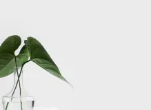 🌟Grant a Wish Today and Support One Simple Wish Organization🌟 11