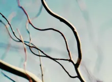 Maximize Your Impact with One Simple Wish Charity Navigator Login 4