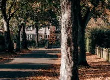 Make Your Wishes Come True with One Simple Wish UK