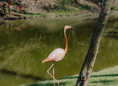 10 Amazing One Wish Examples That Will Spark Your Imagination! 🌟